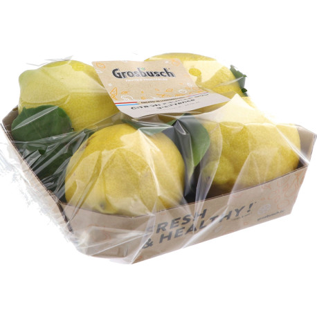 CITRON DE NICE GROSBUSCH PREPACK 10X500G